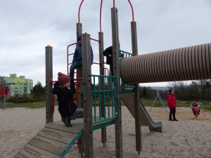 P1010067