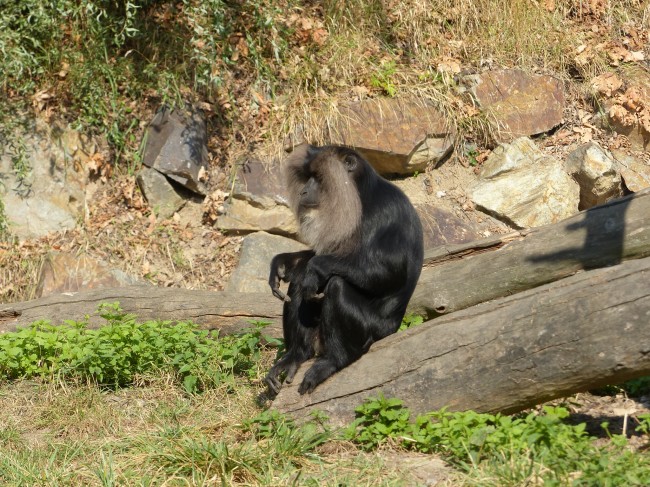 Vítání jara v ZOO a návštěva botanické zahrady - víkendovka s Káťou